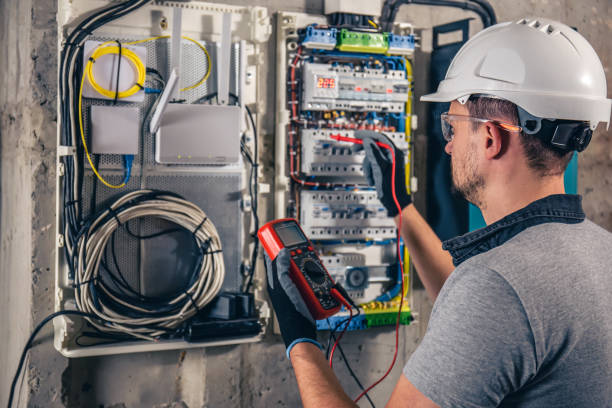 Best Electric Panel Repair  in Kualapuu, HI